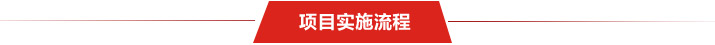 項目實施流程
